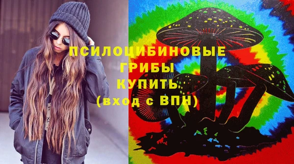 мдпв Алзамай