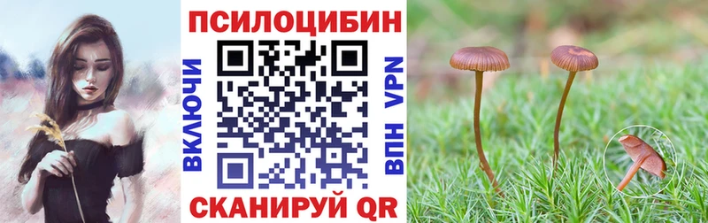 где можно купить   Кукмор  кракен ONION  Галлюциногенные грибы мицелий 